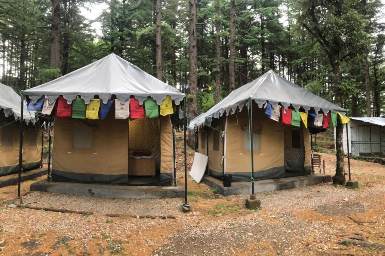 Himtrek Stays,Mcleodganj McLeod Ganj Dış mekan fotoğraf