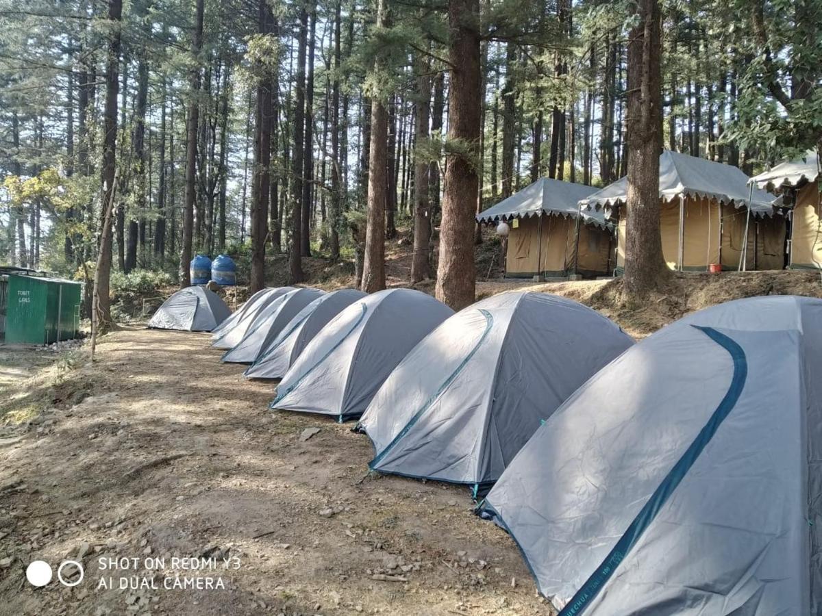 Himtrek Stays,Mcleodganj McLeod Ganj Dış mekan fotoğraf