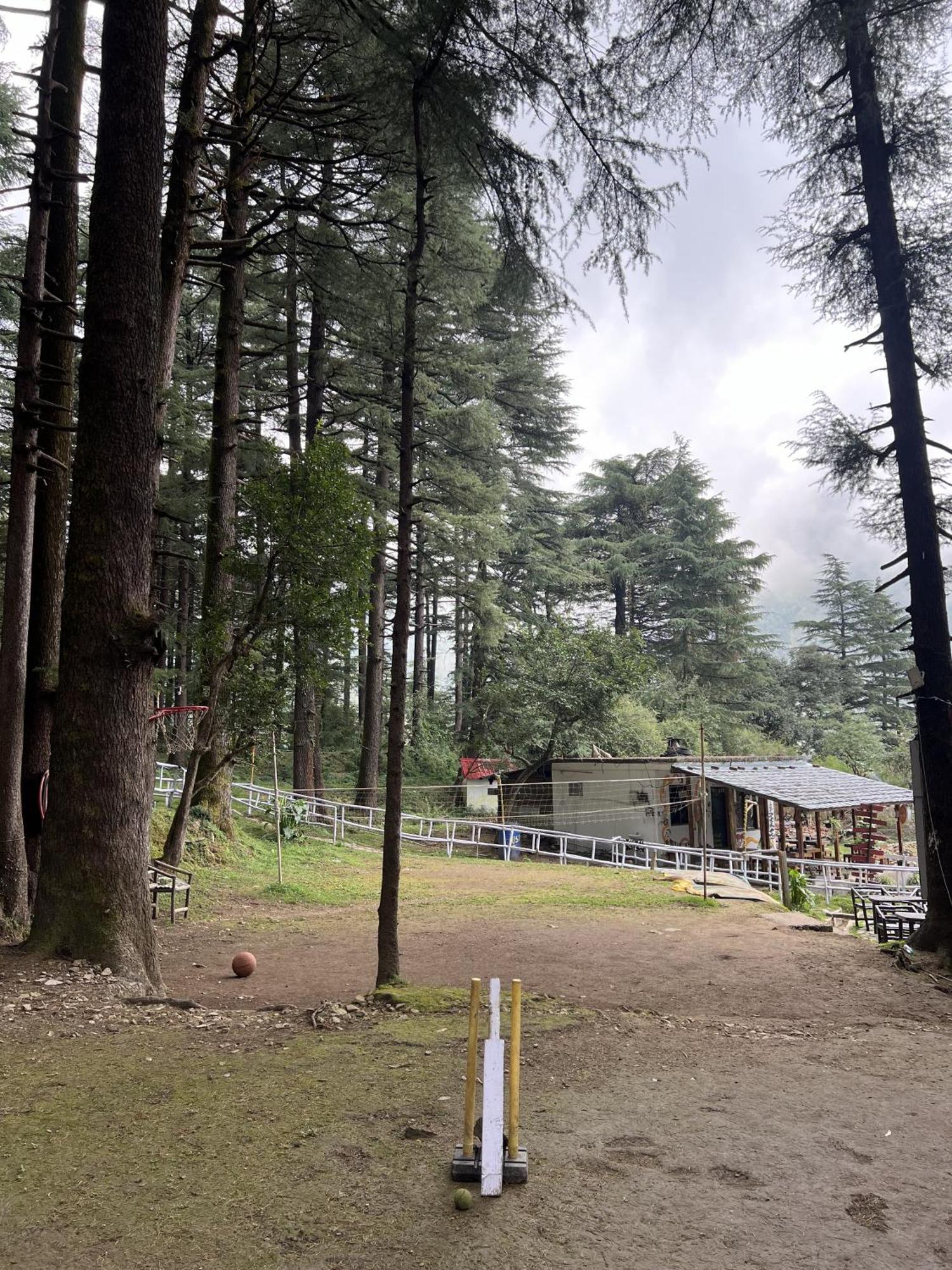 Himtrek Stays,Mcleodganj McLeod Ganj Dış mekan fotoğraf