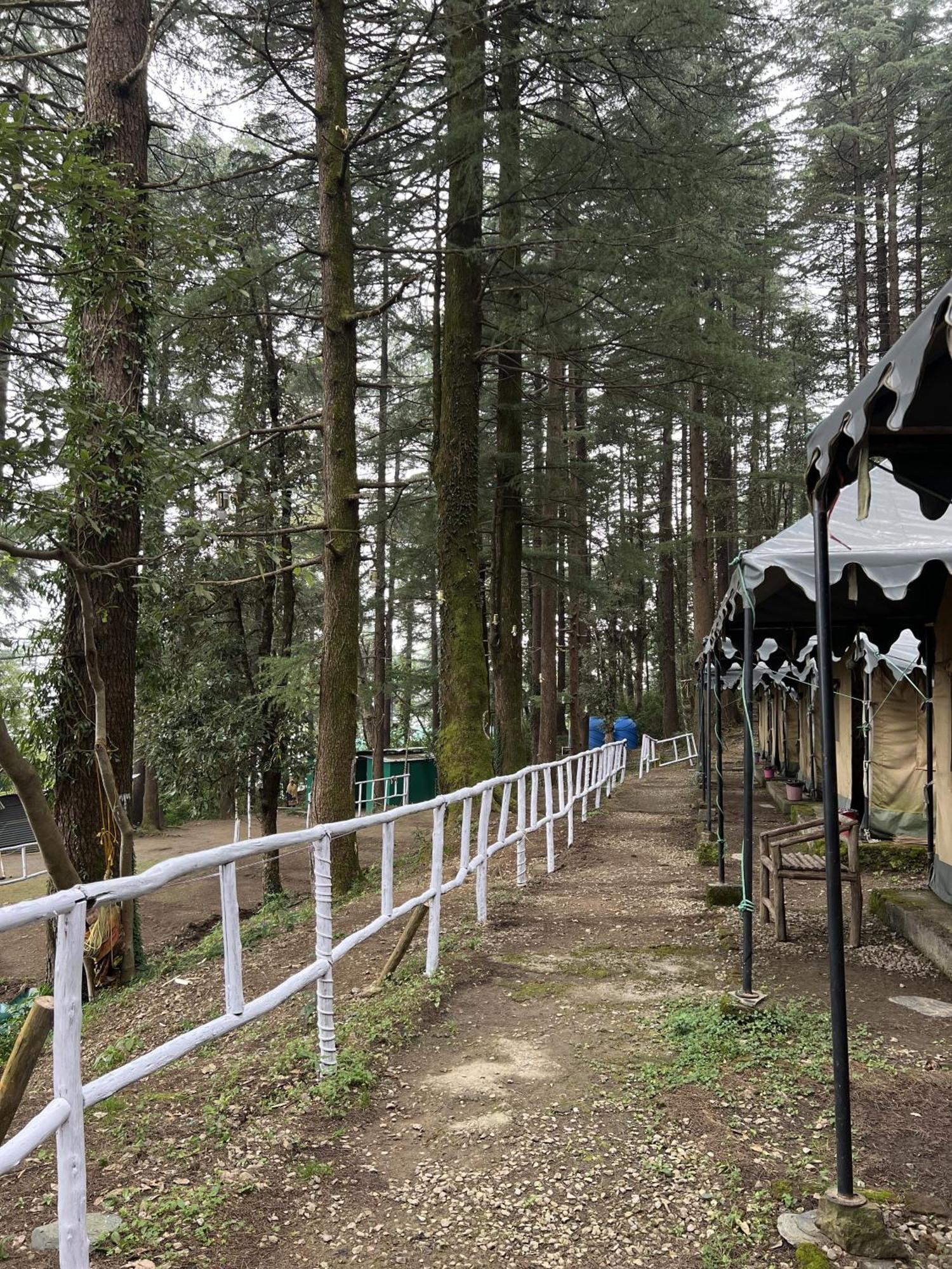 Himtrek Stays,Mcleodganj McLeod Ganj Dış mekan fotoğraf