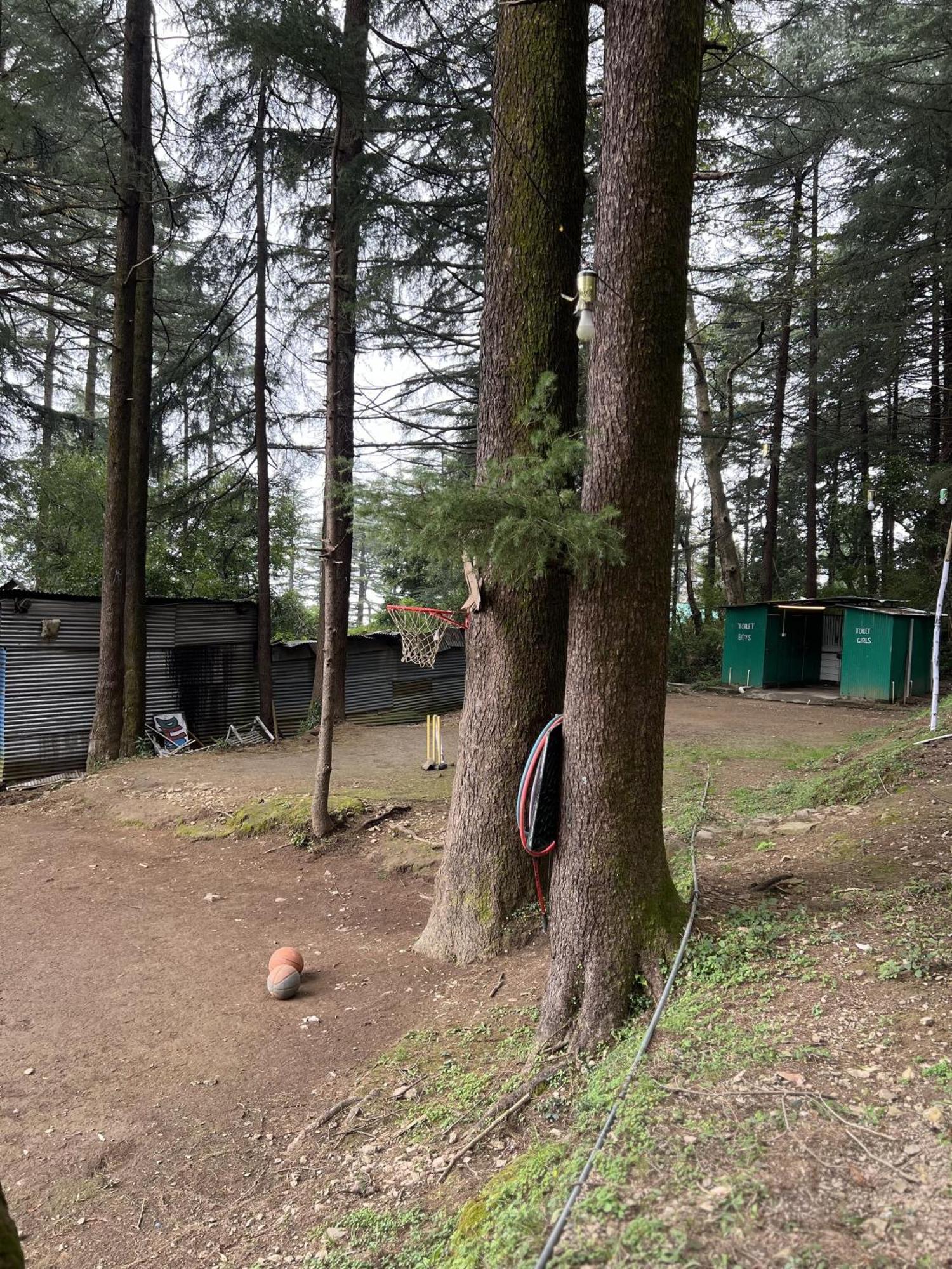Himtrek Stays,Mcleodganj McLeod Ganj Dış mekan fotoğraf
