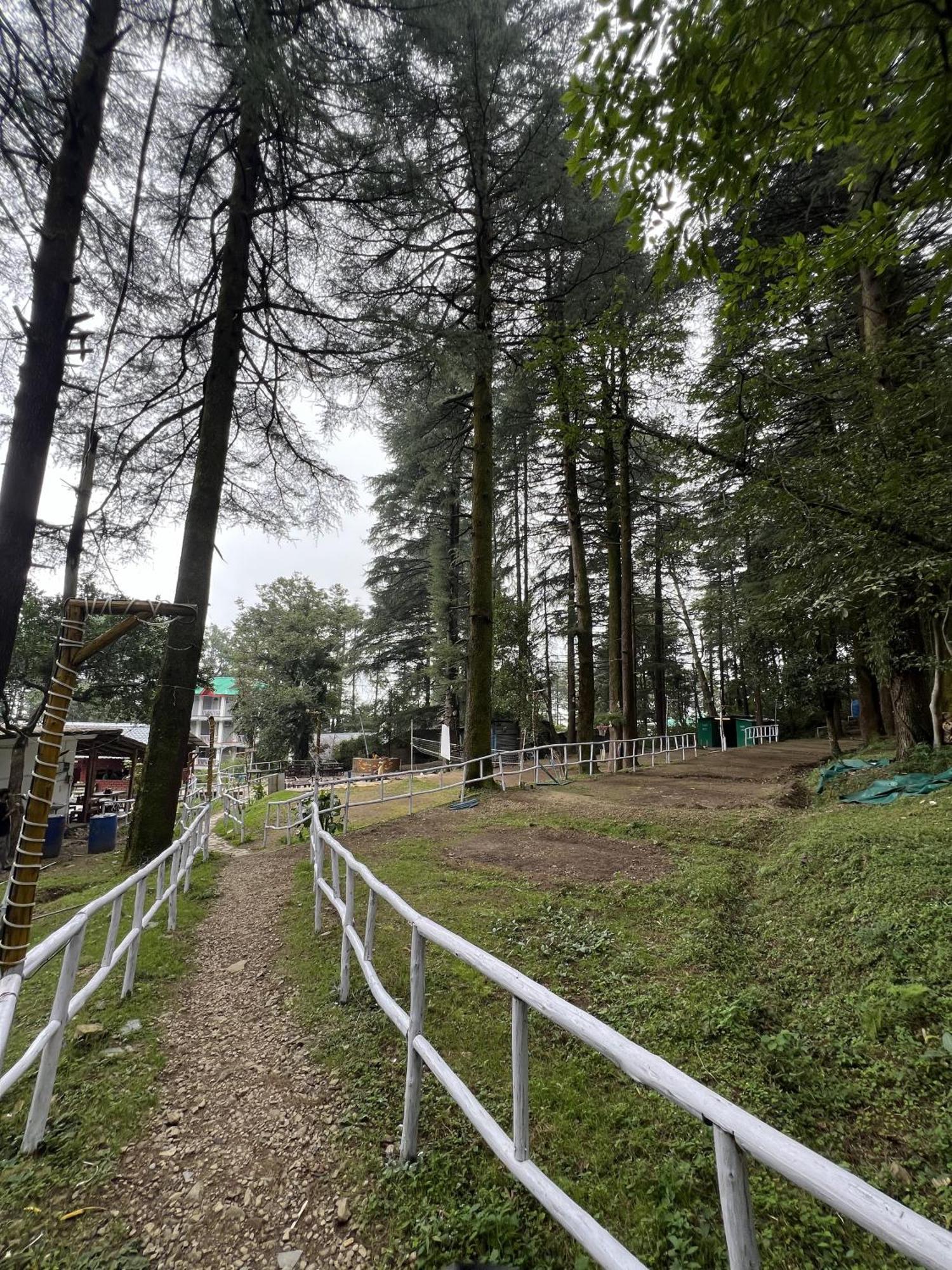 Himtrek Stays,Mcleodganj McLeod Ganj Dış mekan fotoğraf