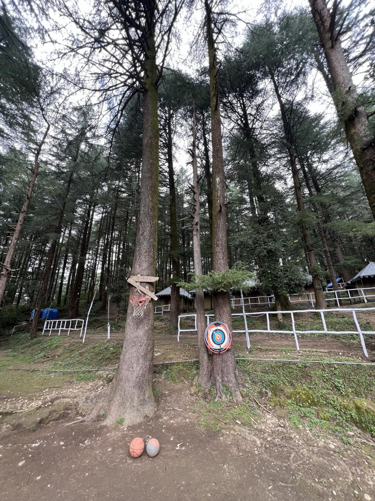 Himtrek Stays,Mcleodganj McLeod Ganj Dış mekan fotoğraf