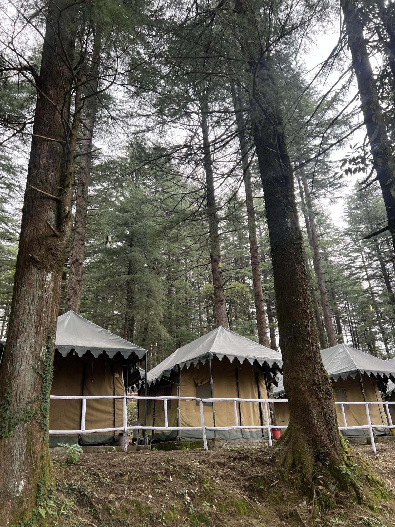 Himtrek Stays,Mcleodganj McLeod Ganj Dış mekan fotoğraf