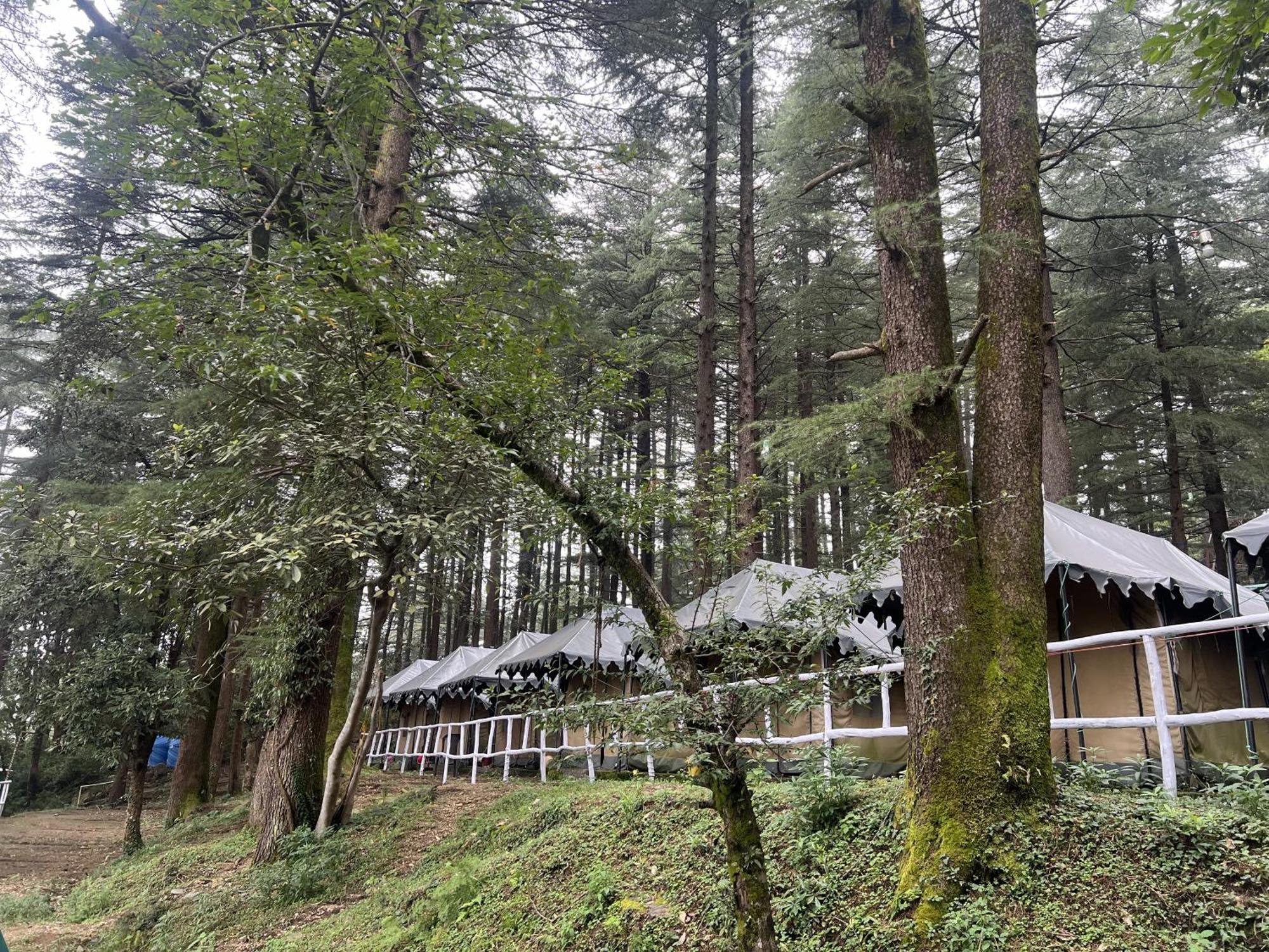 Himtrek Stays,Mcleodganj McLeod Ganj Dış mekan fotoğraf