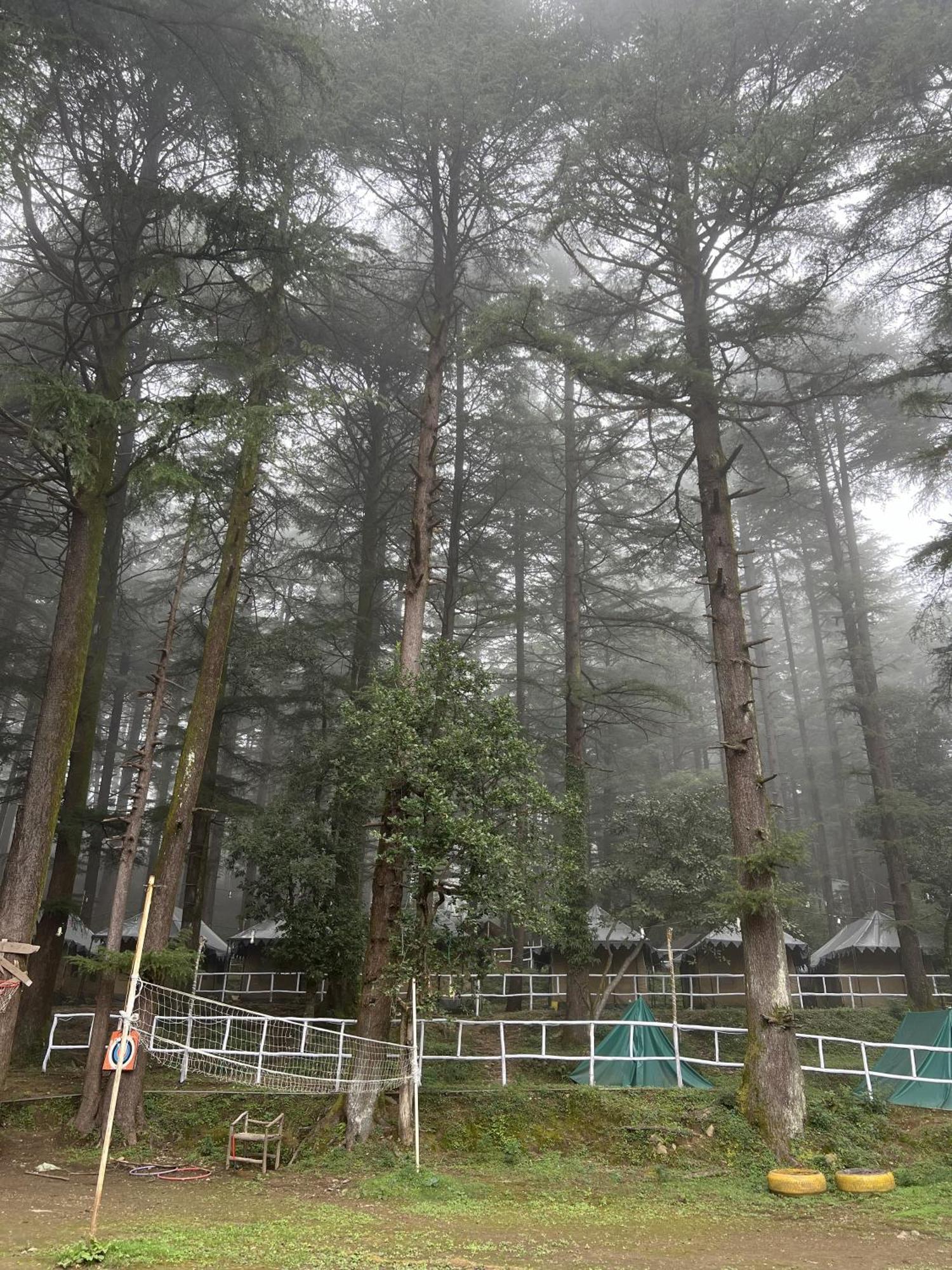 Himtrek Stays,Mcleodganj McLeod Ganj Dış mekan fotoğraf