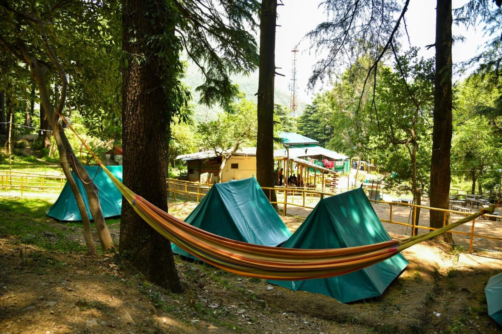 Himtrek Stays,Mcleodganj McLeod Ganj Dış mekan fotoğraf